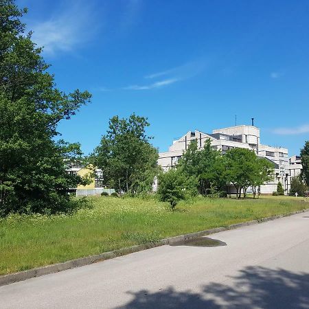 Cozy Seaside Studio Palanga Exterior foto